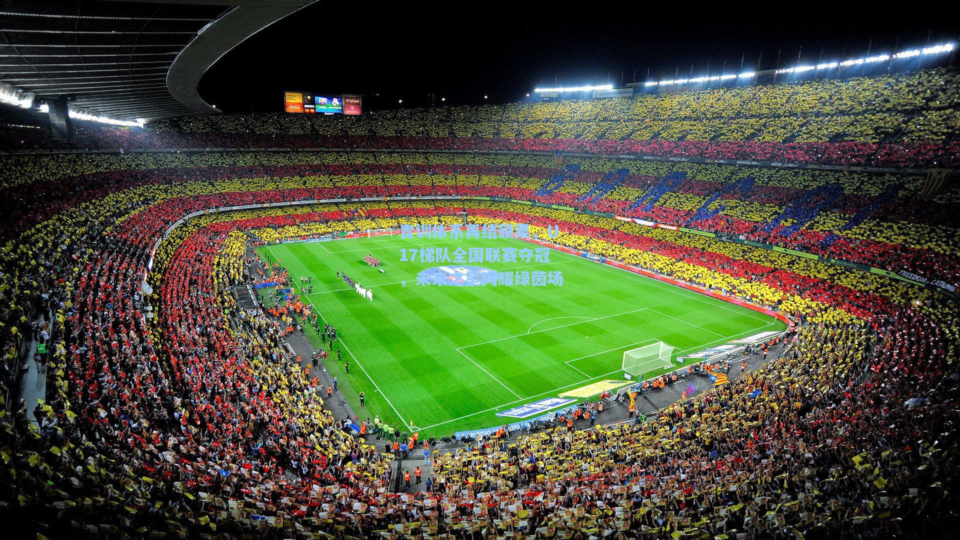 青训体系再结硕果,U17梯队全国联赛夺冠,未来之星闪耀绿茵场