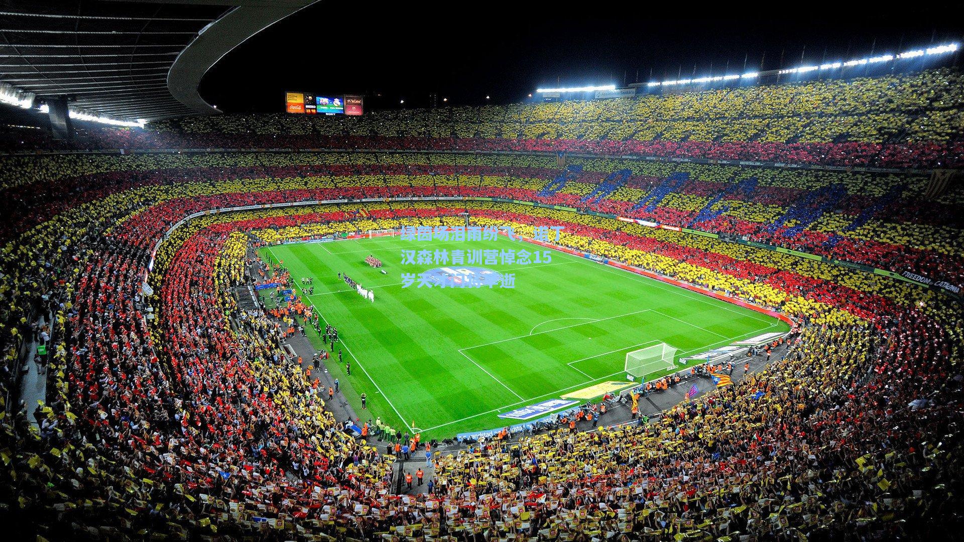 绿茵场泪雨纷飞，诺丁汉森林青训营悼念15岁天才门将早逝