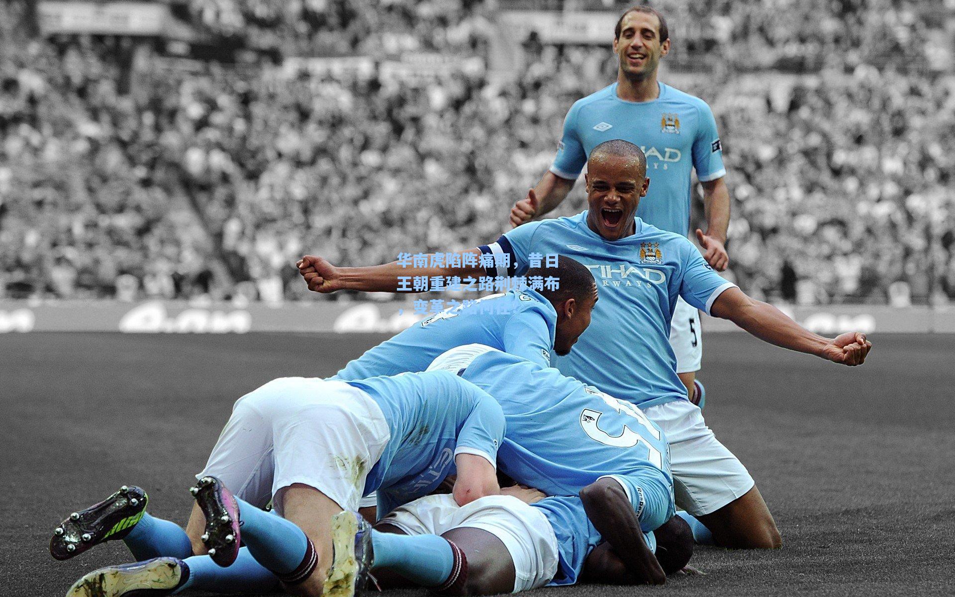 华南虎陷阵痛期，昔日王朝重建之路荆棘满布，变革之路何在？